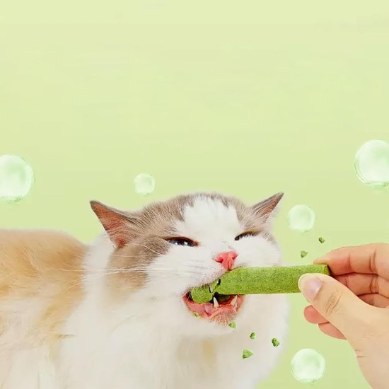 Cat Grass Sticks, Cat Grass Snack, Catnip, Cat Snacks, Cat Dental Care, Freeze-Dried Snacks for Cats for Dental Care and Hair Balls Removal Cat Grass Sticks, Cat Grass Snack, Catnip, Cat Snacks, Cat Dental Care, Freeze-Dried Snacks for Cats for Dental Care and Hair Balls Removal