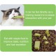 Cat Grass Sticks, Cat Grass Snack, Catnip, Cat Snacks, Cat Dental Care, Freeze-Dried Snacks for Cats for Dental Care and Hair Balls Removal Cat Grass Sticks, Cat Grass Snack, Catnip, Cat Snacks, Cat Dental Care, Freeze-Dried Snacks for Cats for Dental Care and Hair Balls Removal