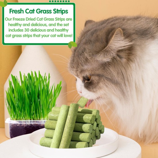 Cat Grass Sticks, Pack of 30 Cat Grass Teething Sticks, Cat Grass Chew Sticks, Cat Grass Molar Stick, Cat Grass Teething Stick, Freeze Dried Cat Grass Teeth Grinding Stick for Dental Care Cat Grass Sticks, Pack of 30 Cat Grass Teething Sticks, Cat Grass Chew Sticks, Cat Grass Molar Stick, Cat Grass Teething Stick, Freeze Dried Cat Grass Teeth Grinding Stick for Dental Care
