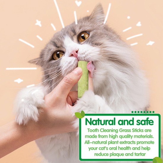 Cat Grass Sticks, Pack of 30 Cat Grass Teething Sticks, Cat Grass Chew Sticks, Cat Grass Molar Stick, Cat Grass Teething Stick, Freeze Dried Cat Grass Teeth Grinding Stick for Dental Care Cat Grass Sticks, Pack of 30 Cat Grass Teething Sticks, Cat Grass Chew Sticks, Cat Grass Molar Stick, Cat Grass Teething Stick, Freeze Dried Cat Grass Teeth Grinding Stick for Dental Care