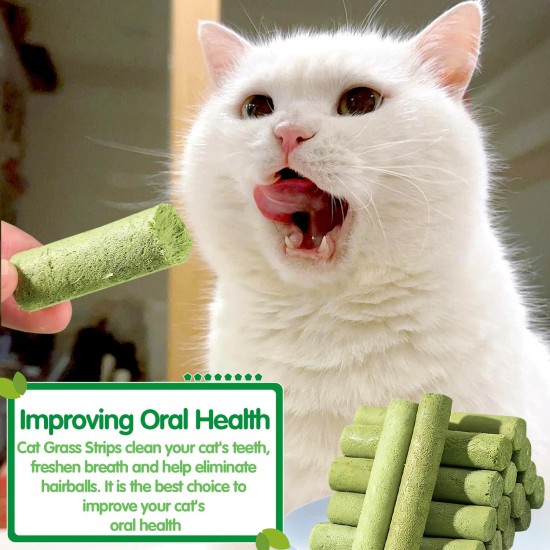 Cat Grass Sticks, Pack of 30 Cat Grass Teething Sticks, Cat Grass Chew Sticks, Cat Grass Molar Stick, Cat Grass Teething Stick, Freeze Dried Cat Grass Teeth Grinding Stick for Dental Care Cat Grass Sticks, Pack of 30 Cat Grass Teething Sticks, Cat Grass Chew Sticks, Cat Grass Molar Stick, Cat Grass Teething Stick, Freeze Dried Cat Grass Teeth Grinding Stick for Dental Care