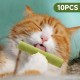 Catnip Sticks, Pack of 6 Catnip Sticks, Chew Sticks for Cats, Cats Dental Care Toy, Dental Chew Sticks Help with Tartar & Bad Breath Healthy Hygiene Dental Care Catnip Sticks, Pack of 6 Catnip Sticks, Chew Sticks for Cats, Cats Dental Care Toy, Dental Chew Sticks Help with Tartar & Bad Breath Healthy Hygiene Dental Care