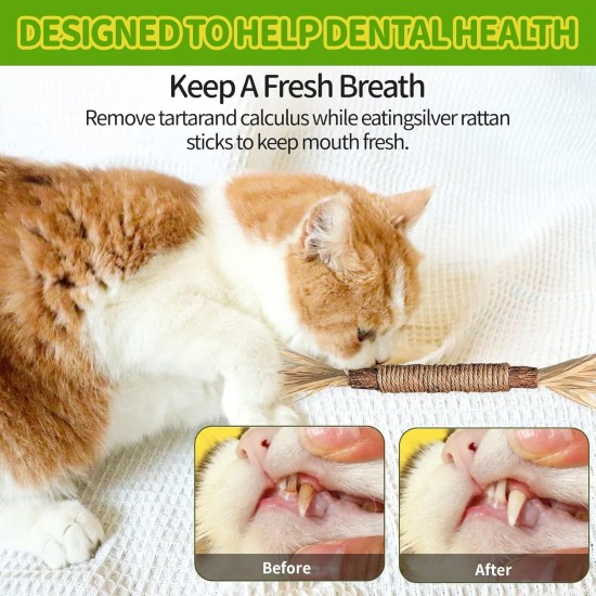 Catnip Sticks, Pack of 6 Catnip Sticks, Chew Sticks for Cats, Cats Dental Care Toy, Dental Chew Sticks Help with Tartar & Bad Breath Healthy Hygiene Dental Care Catnip Sticks, Pack of 6 Catnip Sticks, Chew Sticks for Cats, Cats Dental Care Toy, Dental Chew Sticks Help with Tartar & Bad Breath Healthy Hygiene Dental Care