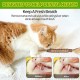 Catnip Sticks, Pack of 6 Catnip Sticks, Chew Sticks for Cats, Cats Dental Care Toy, Dental Chew Sticks Help with Tartar & Bad Breath Healthy Hygiene Dental Care Catnip Sticks, Pack of 6 Catnip Sticks, Chew Sticks for Cats, Cats Dental Care Toy, Dental Chew Sticks Help with Tartar & Bad Breath Healthy Hygiene Dental Care