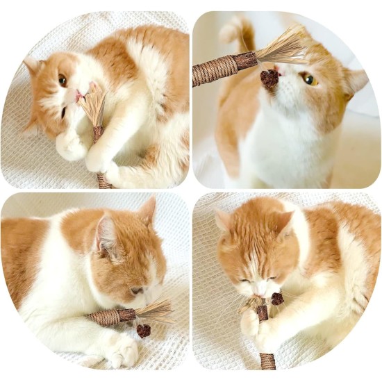 Catnip Sticks, Pack of 6 Catnip Sticks, Chew Sticks for Cats, Cats Dental Care Toy, Dental Chew Sticks Help with Tartar & Bad Breath Healthy Hygiene Dental Care Catnip Sticks, Pack of 6 Catnip Sticks, Chew Sticks for Cats, Cats Dental Care Toy, Dental Chew Sticks Help with Tartar & Bad Breath Healthy Hygiene Dental Care