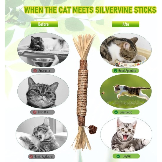 Catnip Sticks, Pack of 6 Catnip Sticks, Chew Sticks for Cats, Cats Dental Care Toy, Dental Chew Sticks Help with Tartar & Bad Breath Healthy Hygiene Dental Care Catnip Sticks, Pack of 6 Catnip Sticks, Chew Sticks for Cats, Cats Dental Care Toy, Dental Chew Sticks Help with Tartar & Bad Breath Healthy Hygiene Dental Care