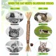 Catnip Sticks, Pack of 6 Catnip Sticks, Chew Sticks for Cats, Cats Dental Care Toy, Dental Chew Sticks Help with Tartar & Bad Breath Healthy Hygiene Dental Care Catnip Sticks, Pack of 6 Catnip Sticks, Chew Sticks for Cats, Cats Dental Care Toy, Dental Chew Sticks Help with Tartar & Bad Breath Healthy Hygiene Dental Care