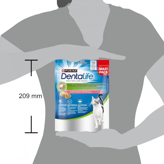 DENTALIFE Daily Oral Care Treat for Adult Cats Helps Effective Teeth Cleaning Salmon Bag 140g DENTALIFE Daily Oral Care Treat for Adult Cats Helps Effective Teeth Cleaning Salmon Bag 140g