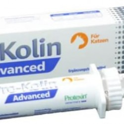 Dechra Pro-Kolin Advanced for Cats, 15 ml, Supplementary Food for Cats, Supports Digestion, Highly Concentrated Pro- and Prebiotics Dechra Pro-Kolin Advanced for Cats, 15 ml, Supplementary Food for Cats, Supports Digestion, Highly Concentrated Pro- and Prebiotics