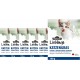 Dehner Lieblinge Seed Cat Grass 6 Pieces (600 g)