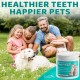 EcoEarth - Teeth Cleaning Wipes for Dogs & Cats - Pet Dental Care Finger Pads for Fresh Breath & Oral Hygiene - Embossed Pattern & Nano Plastic Dots for Removing Plaque & Tartar - 50