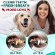 EcoEarth - Teeth Cleaning Wipes for Dogs & Cats - Pet Dental Care Finger Pads for Fresh Breath & Oral Hygiene - Embossed Pattern & Nano Plastic Dots for Removing Plaque & Tartar - 50