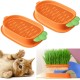 Esforzarse Pack of 2 Hydroponics Cat Grass Box, Cat Grass Growth Set, Cat Grass Germ Tray for Cat Dogs, Pets, Carrot Cat Grass Tray Growth Set, Cat Grass Germination Tray Esforzarse Pack of 2 Hydroponics Cat Grass Box, Cat Grass Growth Set, Cat Grass Germ Tray for Cat Dogs, Pets, Carrot Cat Grass Tray Growth Set, Cat Grass Germination Tray