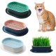 FENGQQKJ Pack of 3 Cat Grass Planter Catnip Cat Grass Box Hydroponics Cat Grass Box Cat Grass Tray Cat Grass Container Cat Grass for Indoor Cats for Planting Cat Grass FENGQQKJ Pack of 3 Cat Grass Planter Catnip Cat Grass Box Hydroponics Cat Grass Box Cat Grass Tray Cat Grass Container Cat Grass for Indoor Cats for Planting Cat Grass