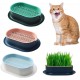 FENGQQKJ Pack of 3 Cat Grass Planter Catnip Cat Grass Box Hydroponics Cat Grass Box Cat Grass Tray Cat Grass Container Cat Grass for Indoor Cats for Planting Cat Grass FENGQQKJ Pack of 3 Cat Grass Planter Catnip Cat Grass Box Hydroponics Cat Grass Box Cat Grass Tray Cat Grass Container Cat Grass for Indoor Cats for Planting Cat Grass