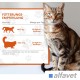 Feligum Dia Kaudrops for Cats Feligum Dia Kaudrops for Cats
