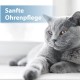 Felisept Dental Care Finger Pads for Cats Pack of 50 - Finger Cots for Effective Cats Dental Care, Oral Hygiene and Fresh Breath - Reduces Plaque - Teeth Cleaner Cat - Dental Care Cats Felisept Dental Care Finger Pads for Cats Pack of 50 - Finger Cots for Effective Cats Dental Care, Oral Hygiene and Fresh Breath - Reduces Plaque - Teeth Cleaner Cat - Dental Care Cats