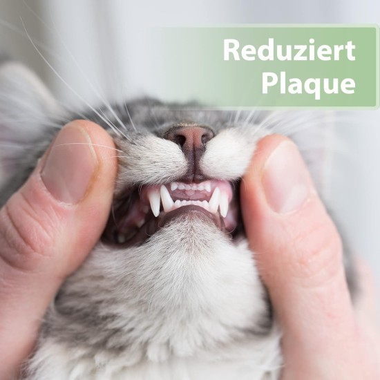 Felisept Dental Care Finger Pads for Cats Pack of 50 - Finger Cots for Effective Cats Dental Care, Oral Hygiene and Fresh Breath - Reduces Plaque - Teeth Cleaner Cat - Dental Care Cats Felisept Dental Care Finger Pads for Cats Pack of 50 - Finger Cots for Effective Cats Dental Care, Oral Hygiene and Fresh Breath - Reduces Plaque - Teeth Cleaner Cat - Dental Care Cats