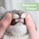 Felisept Dental Care Finger Pads for Cats Pack of 50 - Finger Cots for Effective Cats Dental Care, Oral Hygiene and Fresh Breath - Reduces Plaque - Teeth Cleaner Cat - Dental Care Cats Felisept Dental Care Finger Pads for Cats Pack of 50 - Finger Cots for Effective Cats Dental Care, Oral Hygiene and Fresh Breath - Reduces Plaque - Teeth Cleaner Cat - Dental Care Cats