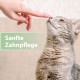 Felisept Dental Care Finger Pads for Cats Pack of 50 - Finger Cots for Effective Cats Dental Care, Oral Hygiene and Fresh Breath - Reduces Plaque - Teeth Cleaner Cat - Dental Care Cats Felisept Dental Care Finger Pads for Cats Pack of 50 - Finger Cots for Effective Cats Dental Care, Oral Hygiene and Fresh Breath - Reduces Plaque - Teeth Cleaner Cat - Dental Care Cats
