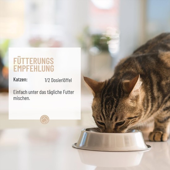 Gastric Mild Powder for Cats 50 g - Supports Digestion, Binds Gastric Juices & Acids, Harmonises Gastrointestinal Activity, Stomach Protection Cat as a Natural Product Gastric Mild Powder for Cats 50 g - Supports Digestion, Binds Gastric Juices & Acids, Harmonises Gastrointestinal Activity, Stomach Protection Cat as a Natural Product