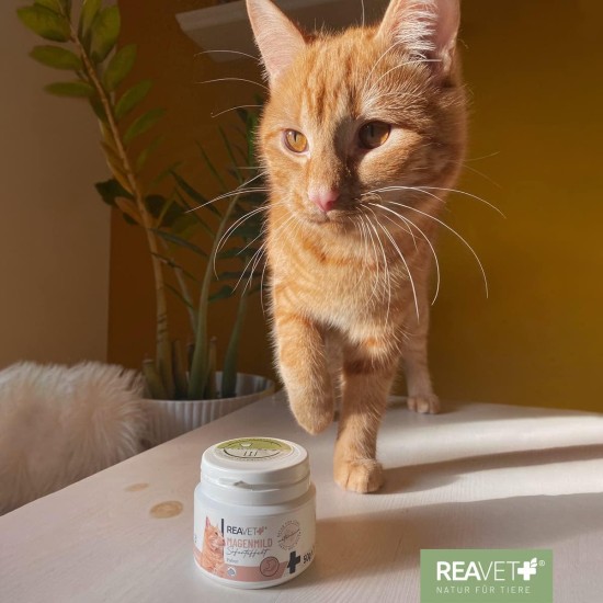 Gastric Mild Powder for Cats 50 g - Supports Digestion, Binds Gastric Juices & Acids, Harmonises Gastrointestinal Activity, Stomach Protection Cat as a Natural Product Gastric Mild Powder for Cats 50 g - Supports Digestion, Binds Gastric Juices & Acids, Harmonises Gastrointestinal Activity, Stomach Protection Cat as a Natural Product