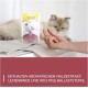 GimCat Denta Tabs - Functional Cat Snack Supports Dental Care - Pack of 8 (8 x 40 g) GimCat Denta Tabs - Functional Cat Snack Supports Dental Care - Pack of 8 (8 x 40 g)