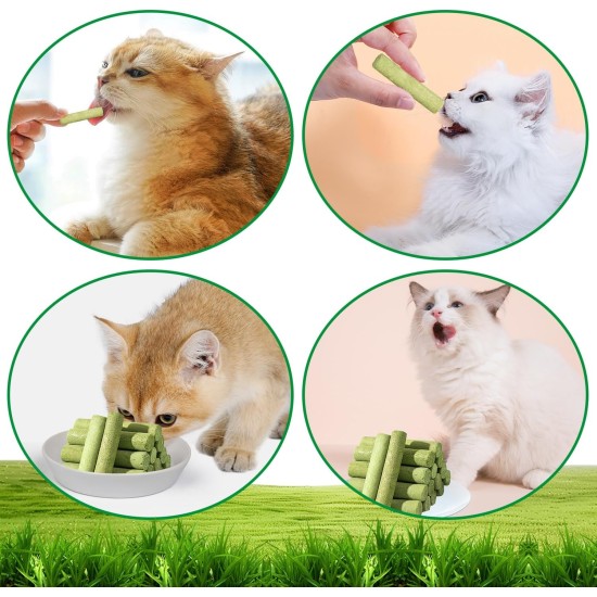 HBSFBH Cat Grass Sticks, Pack of 30 Cat Grass Teething Sticks, Cat Grass Chew Sticks, Cat Grass Molar Stick, Cat Grass Teething Stick, Freeze Dried Cat Grass Teeth Grinding Stick for Dental Care HBSFBH Cat Grass Sticks, Pack of 30 Cat Grass Teething Sticks, Cat Grass Chew Sticks, Cat Grass Molar Stick, Cat Grass Teething Stick, Freeze Dried Cat Grass Teeth Grinding Stick for Dental Care
