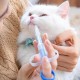 Hsyadazi Pack of 3 Pill Dispenser for Cats and Small Dogs - Simple Medicine Feeder with Pill Syringe, Safe Tablet Dispenser for Pets Hsyadazi Pack of 3 Pill Dispenser for Cats and Small Dogs - Simple Medicine Feeder with Pill Syringe, Safe Tablet Dispenser for Pets