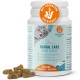 Ida Plus Dental Care Mini Sticks - Cat Dental Care Chew Sticks for Cats - Helps Clean Cats Teeth - Stops Cats Bad Breath - Anti Plaque - Delicious Cat Chew Sticks - Pack of 80 Ida Plus Dental Care Mini Sticks - Cat Dental Care Chew Sticks for Cats - Helps Clean Cats Teeth - Stops Cats Bad Breath - Anti Plaque - Delicious Cat Chew Sticks - Pack of 80