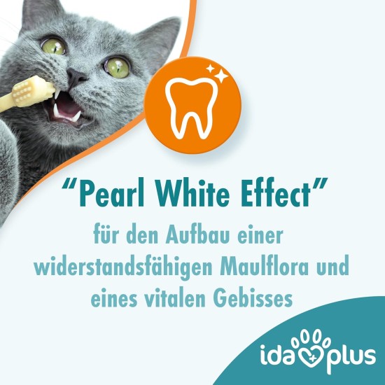 Ida Plus Dental Care Mini Sticks - Cat Dental Care Chew Sticks for Cats - Helps Clean Cats Teeth - Stops Cats Bad Breath - Anti Plaque - Delicious Cat Chew Sticks - Pack of 80 Ida Plus Dental Care Mini Sticks - Cat Dental Care Chew Sticks for Cats - Helps Clean Cats Teeth - Stops Cats Bad Breath - Anti Plaque - Delicious Cat Chew Sticks - Pack of 80