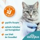 Ida Plus Dental Care Mini Sticks - Cat Dental Care Chew Sticks for Cats - Helps Clean Cats Teeth - Stops Cats Bad Breath - Anti Plaque - Delicious Cat Chew Sticks - Pack of 80 Ida Plus Dental Care Mini Sticks - Cat Dental Care Chew Sticks for Cats - Helps Clean Cats Teeth - Stops Cats Bad Breath - Anti Plaque - Delicious Cat Chew Sticks - Pack of 80