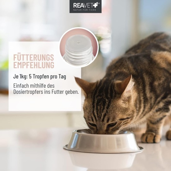 Intestinal Oil for Cats 50 ml I Digestion, Intestinal Flora I Secondary for Constipation and Digestive Problems, No Remedium and Laxans Intestinal Oil for Cats 50 ml I Digestion, Intestinal Flora I Secondary for Constipation and Digestive Problems, No Remedium and Laxans