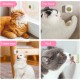 Leckball für Katzen, ergonomisches Design, weiche Textur, leicht zu reinigen, ideal für die Zahnpflege und die Stimulation des Spiels. Leckball für Katzen, ergonomisches Design, weiche Textur, leicht zu reinigen, ideal für die Zahnpflege und die Stimulation des Spiels.