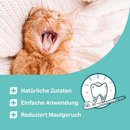 MEDICAT Dental Liquid Forte - Prevention of Tartar and Foot Odour in Cats - 150 ml - for Daily Cat Dental Care - Tartar Prevention & Fresh Breath MEDICAT Dental Liquid Forte - Prevention of Tartar and Foot Odour in Cats - 150 ml - for Daily Cat Dental Care - Tartar Prevention & Fresh Breath