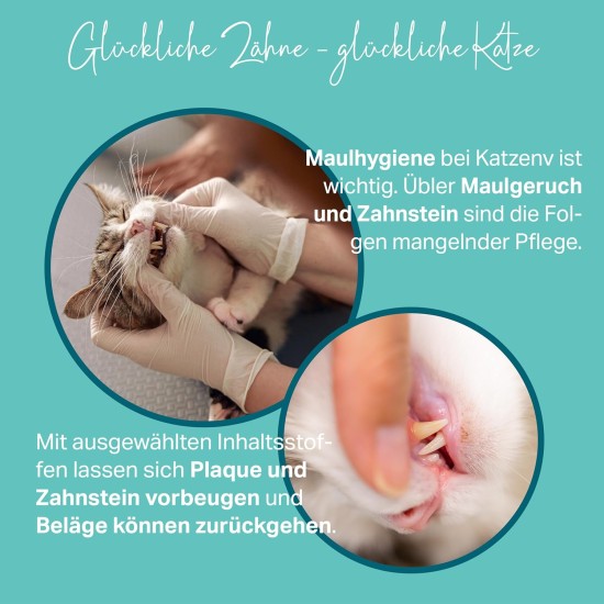 MEDICAT Dental Liquid Forte - Prevention of Tartar and Foot Odour in Cats - 150 ml - for Daily Cat Dental Care - Tartar Prevention & Fresh Breath MEDICAT Dental Liquid Forte - Prevention of Tartar and Foot Odour in Cats - 150 ml - for Daily Cat Dental Care - Tartar Prevention & Fresh Breath