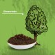 MEDICAT Premium Elm Bark Paste - 200g - for Cats - For Heartburn, Diarrhea and Vomiting for Intestinal Cleansing - Ready to Eat Immediately MEDICAT Premium Elm Bark Paste - 200g - for Cats - For Heartburn, Diarrhea and Vomiting for Intestinal Cleansing - Ready to Eat Immediately