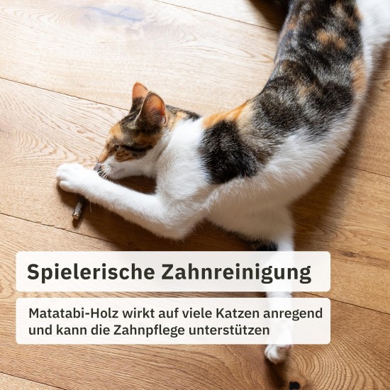 Matatabi Stick Cat: 8 Matatabi Sticks for Cats Dental Care - Wooden Cat Toy Against Bad Breath - Cat Chew Toy - Natural Toy for Cats - Cat Sticks - Inovida Cat Accessories Matatabi Stick Cat: 8 Matatabi Sticks for Cats Dental Care - Wooden Cat Toy Against Bad Breath - Cat Chew Toy - Natural Toy for Cats - Cat Sticks - Inovida Cat Accessories