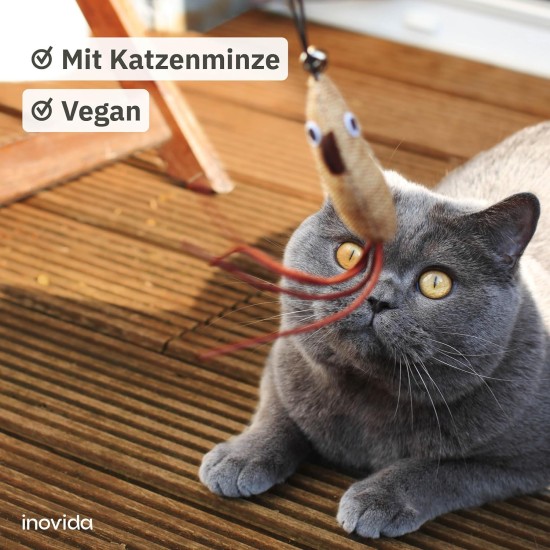 Matatabi Stick Cat: 8 Matatabi Sticks for Cats Dental Care - Wooden Cat Toy Against Bad Breath - Cat Chew Toy - Natural Toy for Cats - Cat Sticks - Inovida Cat Accessories Matatabi Stick Cat: 8 Matatabi Sticks for Cats Dental Care - Wooden Cat Toy Against Bad Breath - Cat Chew Toy - Natural Toy for Cats - Cat Sticks - Inovida Cat Accessories
