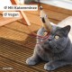 Matatabi Stick Cat: 8 Matatabi Sticks for Cats Dental Care - Wooden Cat Toy Against Bad Breath - Cat Chew Toy - Natural Toy for Cats - Cat Sticks - Inovida Cat Accessories Matatabi Stick Cat: 8 Matatabi Sticks for Cats Dental Care - Wooden Cat Toy Against Bad Breath - Cat Chew Toy - Natural Toy for Cats - Cat Sticks - Inovida Cat Accessories