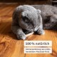 Matatabi Stick Cat: 8 Matatabi Sticks for Cats Dental Care - Wooden Cat Toy Against Bad Breath - Cat Chew Toy - Natural Toy for Cats - Cat Sticks - Inovida Cat Accessories Matatabi Stick Cat: 8 Matatabi Sticks for Cats Dental Care - Wooden Cat Toy Against Bad Breath - Cat Chew Toy - Natural Toy for Cats - Cat Sticks - Inovida Cat Accessories