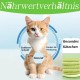 Mmgoqqt Pack of 6 Cat Grass Cat Sticks, Dental Care Cats, Chew Sticks for Plaque Reduction and Hair Balls Elimination for Picky Cats Mmgoqqt Pack of 6 Cat Grass Cat Sticks, Dental Care Cats, Chew Sticks for Plaque Reduction and Hair Balls Elimination for Picky Cats