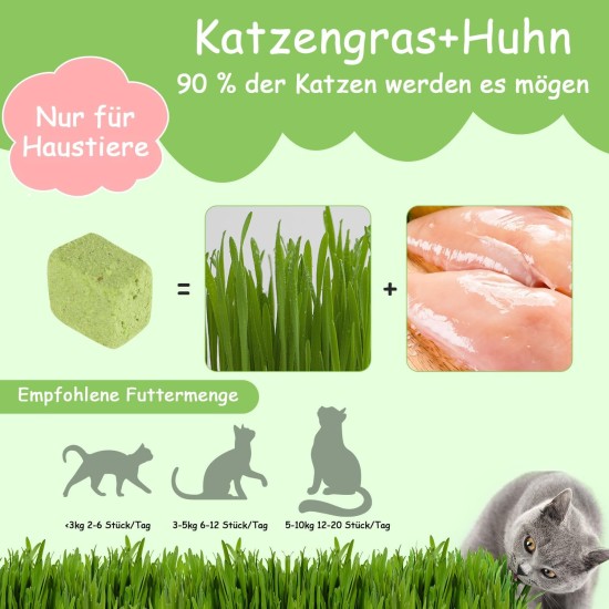 Onperpoe Cat Grass Snack 40 g Freeze Dried Snacks Cat Grass for Cats Cat Grass Grains Chew Toy Cat for Dental Care Tooth Cleaner Hair Ball Removal Increase Appetite Onperpoe Cat Grass Snack 40 g Freeze Dried Snacks Cat Grass for Cats Cat Grass Grains Chew Toy Cat for Dental Care Tooth Cleaner Hair Ball Removal Increase Appetite
