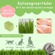 Onperpoe Cat Grass Snack 40 g Freeze Dried Snacks Cat Grass for Cats Cat Grass Grains Chew Toy Cat for Dental Care Tooth Cleaner Hair Ball Removal Increase Appetite Onperpoe Cat Grass Snack 40 g Freeze Dried Snacks Cat Grass for Cats Cat Grass Grains Chew Toy Cat for Dental Care Tooth Cleaner Hair Ball Removal Increase Appetite