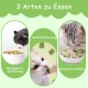 Onperpoe Cat Grass Snack 40 g Freeze Dried Snacks Cat Grass for Cats Cat Grass Grains Chew Toy Cat for Dental Care Tooth Cleaner Hair Ball Removal Increase Appetite Onperpoe Cat Grass Snack 40 g Freeze Dried Snacks Cat Grass for Cats Cat Grass Grains Chew Toy Cat for Dental Care Tooth Cleaner Hair Ball Removal Increase Appetite