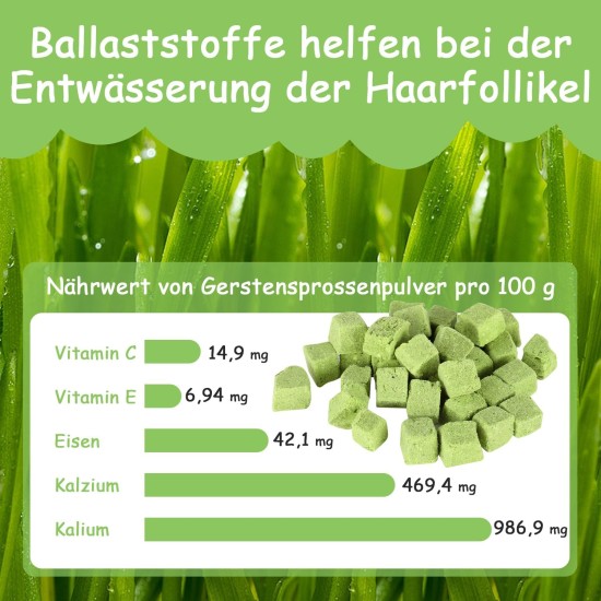 Onperpoe Cat Grass Snack 40 g Freeze Dried Snacks Cat Grass for Cats Cat Grass Grains Chew Toy Cat for Dental Care Tooth Cleaner Hair Ball Removal Increase Appetite Onperpoe Cat Grass Snack 40 g Freeze Dried Snacks Cat Grass for Cats Cat Grass Grains Chew Toy Cat for Dental Care Tooth Cleaner Hair Ball Removal Increase Appetite