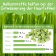 Onperpoe Cat Grass Snack 40 g Freeze Dried Snacks Cat Grass for Cats Cat Grass Grains Chew Toy Cat for Dental Care Tooth Cleaner Hair Ball Removal Increase Appetite Onperpoe Cat Grass Snack 40 g Freeze Dried Snacks Cat Grass for Cats Cat Grass Grains Chew Toy Cat for Dental Care Tooth Cleaner Hair Ball Removal Increase Appetite