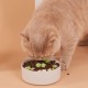 Onperpoe Cat Grass Snack 40 g Freeze Dried Snacks Cat Grass for Cats Cat Grass Grains Chew Toy Cat for Dental Care Tooth Cleaner Hair Ball Removal Increase Appetite Onperpoe Cat Grass Snack 40 g Freeze Dried Snacks Cat Grass for Cats Cat Grass Grains Chew Toy Cat for Dental Care Tooth Cleaner Hair Ball Removal Increase Appetite