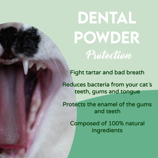 Oral Hygiene for Cats Oral Hygiene for Cats