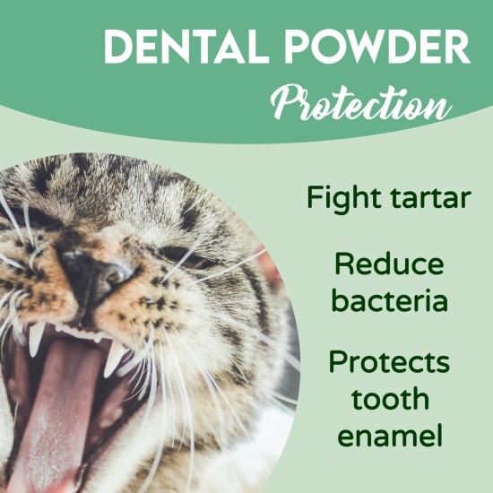 Oral Hygiene for Cats Oral Hygiene for Cats